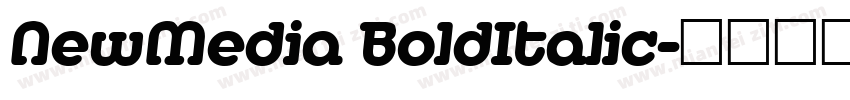 NewMedia BoldItalic字体转换